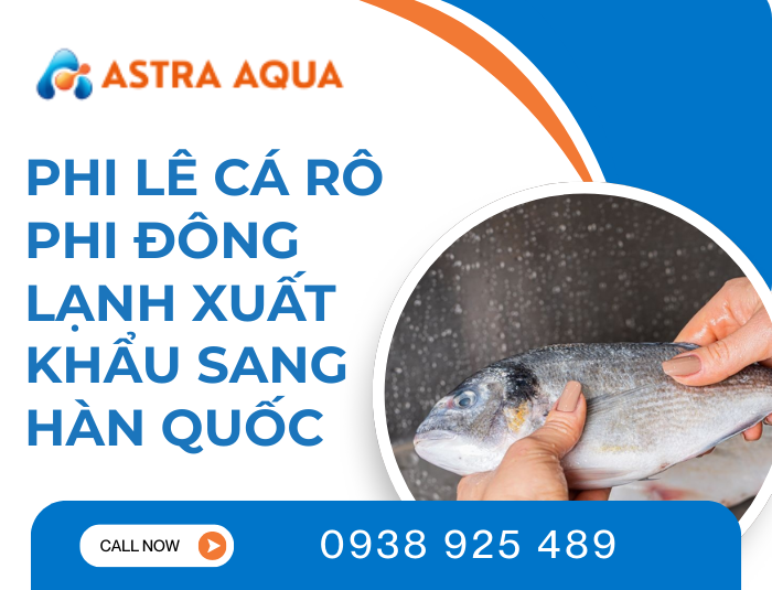Phi lê cá rô phi đông lạnh xuất khẩu sang Hàn Quốc