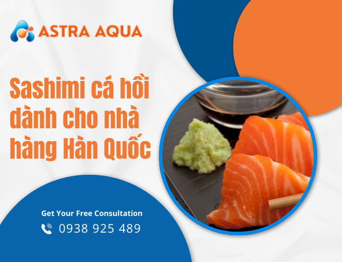 Sashimi cá hồi dành cho nhà hàng Hàn Quốc