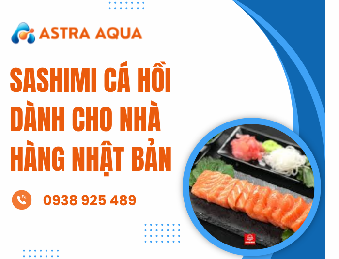 Sashimi cá hồi dành cho nhà hàng Nhật Bản