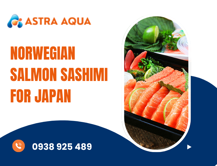 Norwegian Salmon Sashimi for Japan