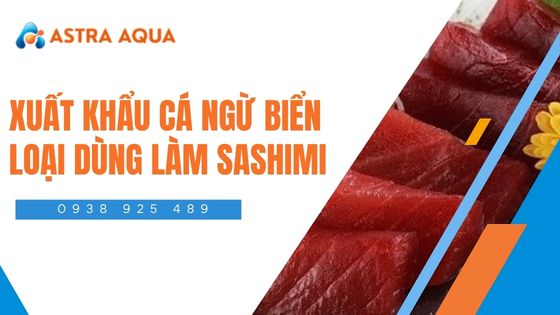 Xuất khẩu cá ngừ biển loại dùng làm sashimi từ Astra Aqua