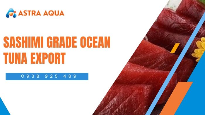 Exporting Sashimi-Grade Ocean Tuna from Astra Aqua