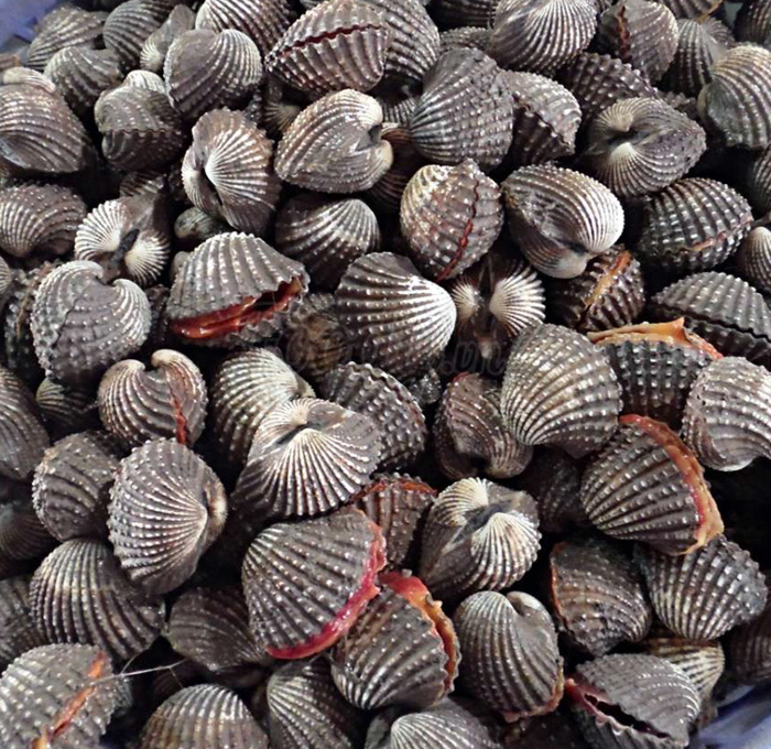 Blood Clams in European and Vietnamese Fine Dining