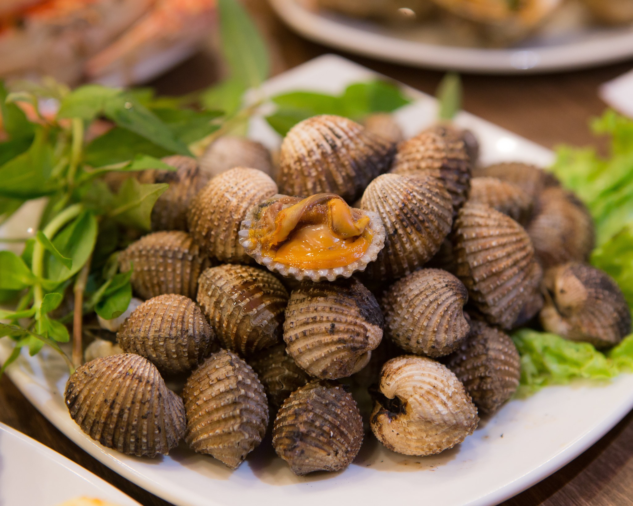 Guide to Selecting and Storing High-Quality Blood Clams