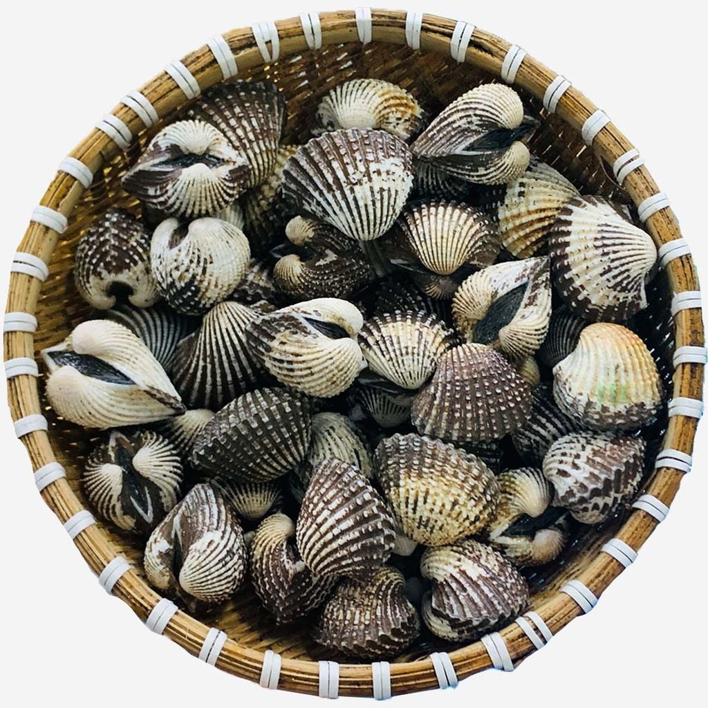Lợi Ích Dinh Dưỡng Tuyệt Vời Của Sò Tươi Sống