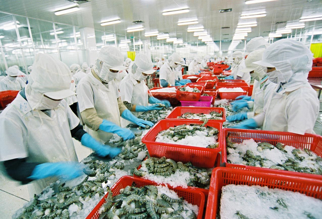 Sourcing Trong Ngành Xuất Khẩu Hải Sản: Giải Pháp Tối Ưu Cho Doanh Nghiệp