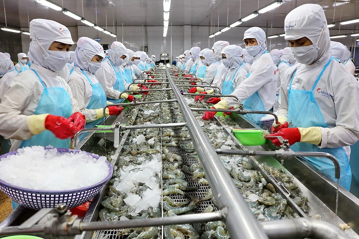 Tầm Quan Trọng Của InSpection Trong Xuất Khẩu HẢI SẢN