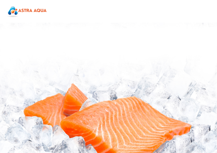 Tầm Quan Trọng Của Phát Triển Bền Vững Trong Ngành Hải Sản tại Astra Aqua