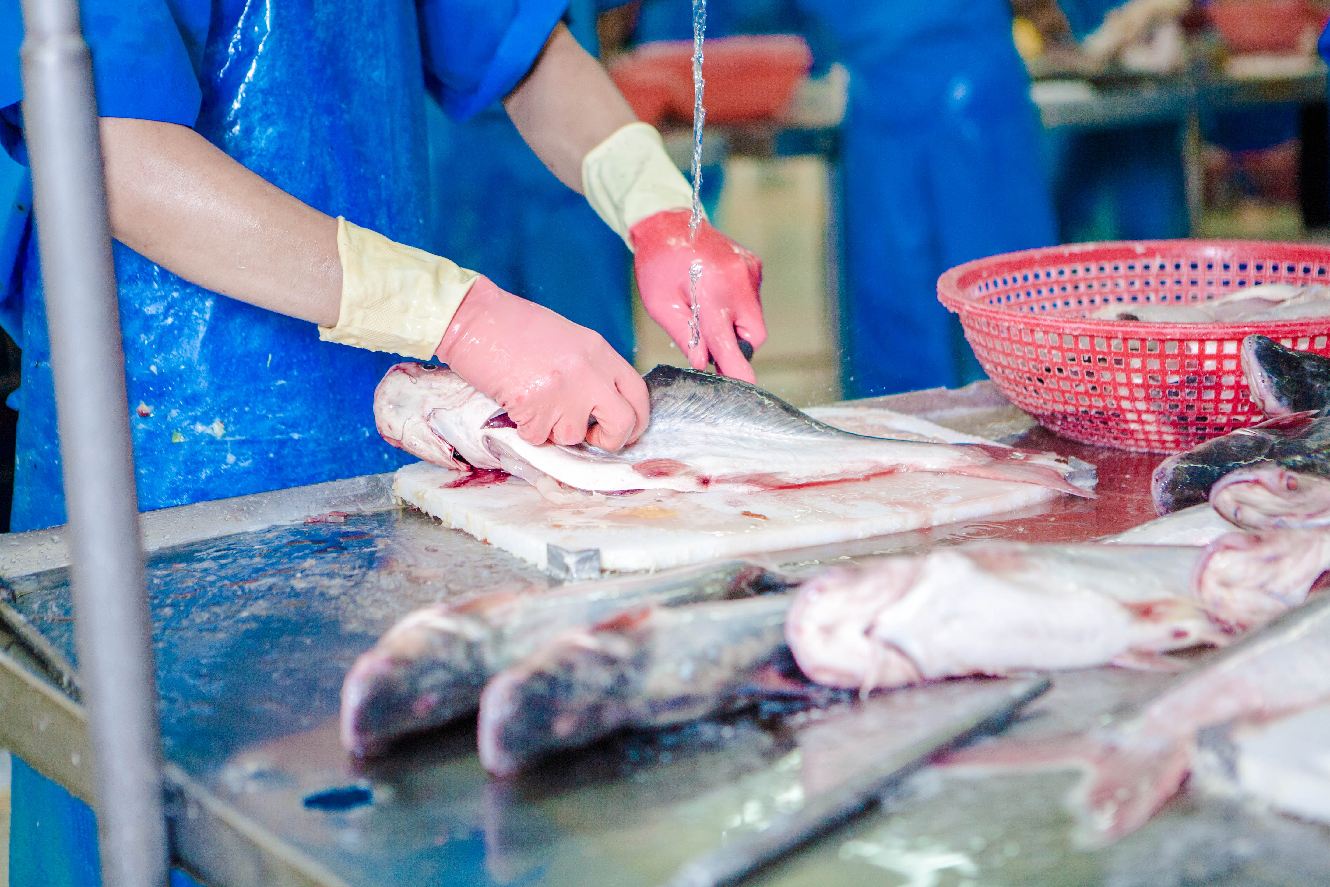Tầm Quan Trọng Của Sourcing Trong Xuất Khẩu Hải Sản