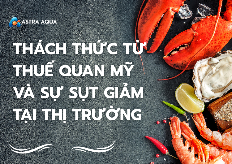 Thách Thức Từ Thuế Quan Mỹ và Sự Sụt Giảm Tại Thị Trường Này: Tác Động Đến Ngành Thủy Sản Việt Nam