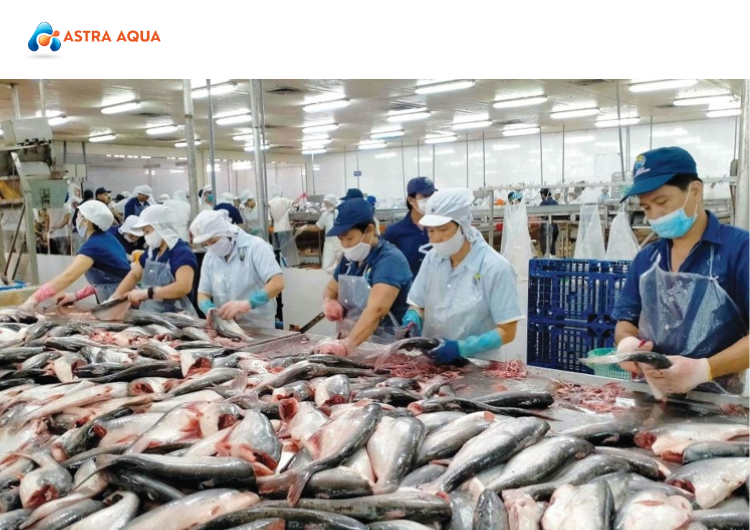 Thực Trạng Ngành Thủy Sản Việt Nam Tại Astra Aqua