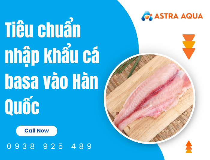 Tiêu chuẩn nhập khẩu cá basa vào Hàn Quốc – Yêu cầu khắt khe
