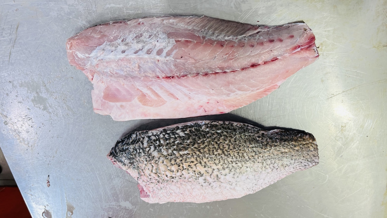 Tiêu chuẩn nhập khẩu cá chẽm tại Hàn Quốc