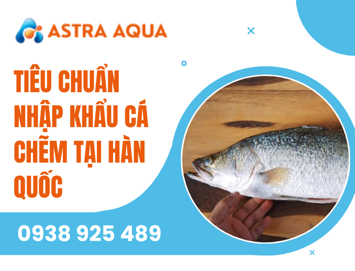 Tiêu chuẩn nhập khẩu cá chẽm tại Hàn Quốc