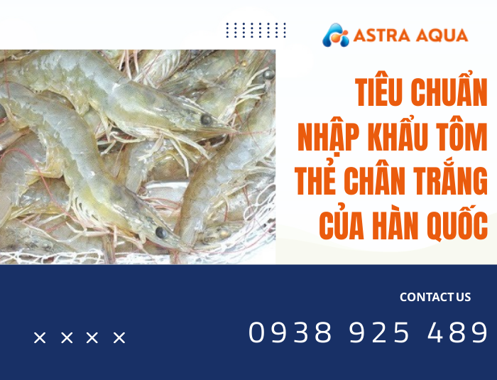 Tiêu chuẩn nhập khẩu tôm thẻ chân trắng của Hàn Quốc