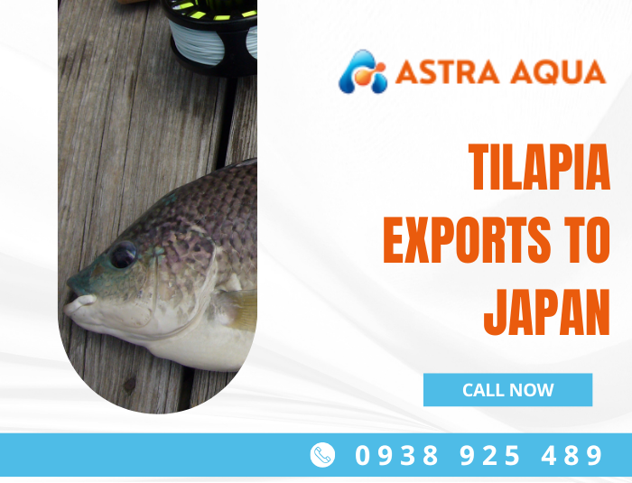 Tilapia Exports to Japan