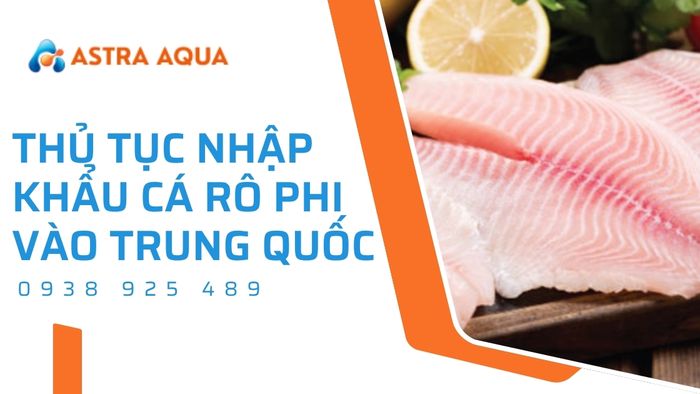 Thủ tục nhập khẩu cá rô phi vào Trung Quốc | Astra Aqua