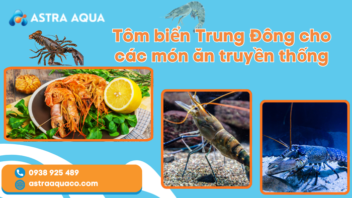 Tôm Biển Trung Đông – Nguyên Liệu Cao Cấp Cho Các Món Ăn Truyền Thống Đậm Đà Hương Vị