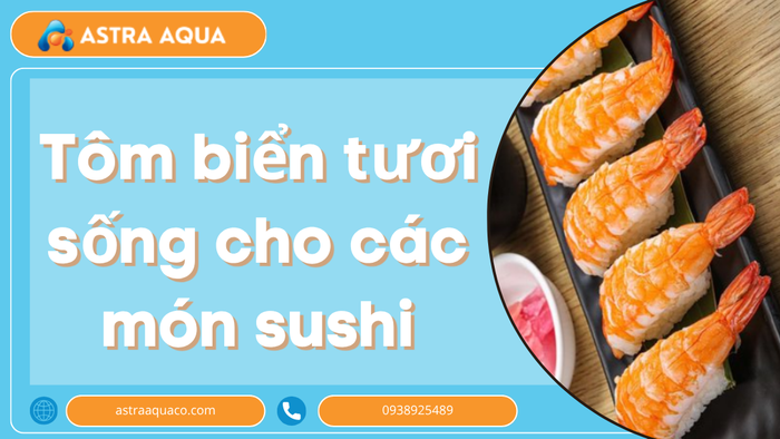 Tôm Biển Tươi Sống Cho Các Món Sushi – Bí Quyết Tạo Nên Hương Vị Nhật Bản Đẳng Cấp
