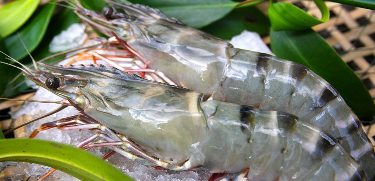 Xu Hướng Tiêu Dùng Hải Sản Tươi Sống Cao Cấp