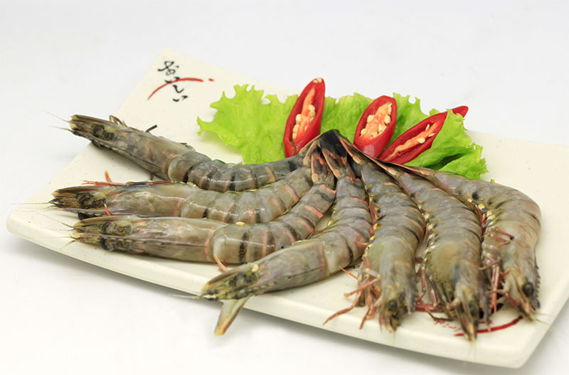 Bí Quyết Chọn Nguồn Tôm Chế Biến Sẵn Chất Lượng
