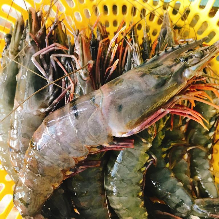 Giá Trị Dinh Dưỡng Tuyệt Vời Từ Tôm Sú Tươi Sống