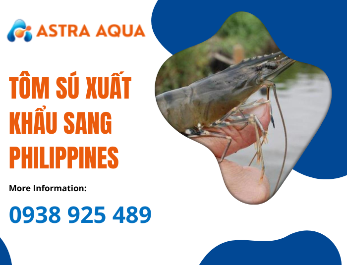 Tôm sú xuất khẩu sang Philippines