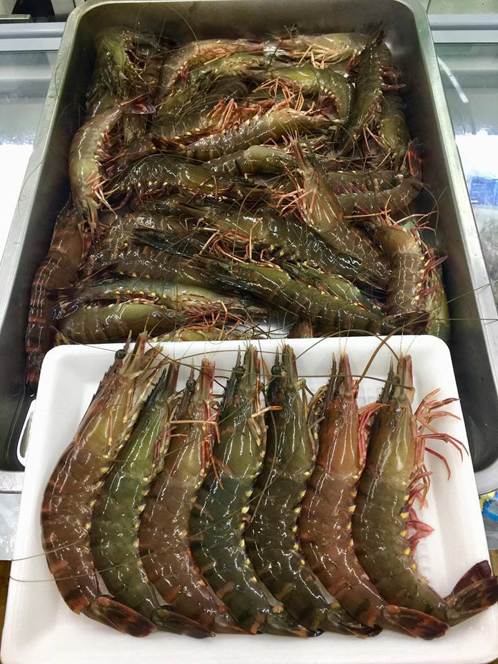 Tôm sú xuất khẩu sang Trung Quốc