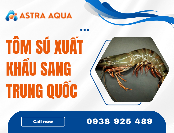 Tôm sú xuất khẩu sang Trung Quốc