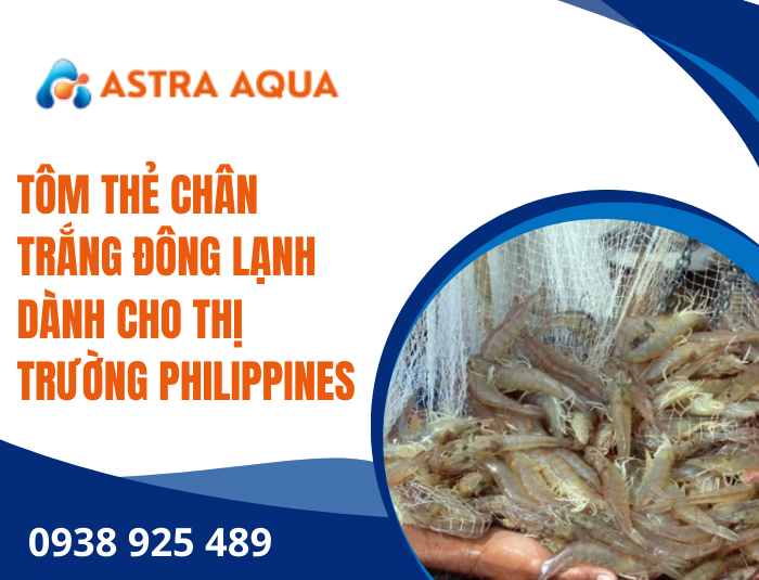 Tôm thẻ chân trắng đông lạnh dành cho thị trường Philippines
