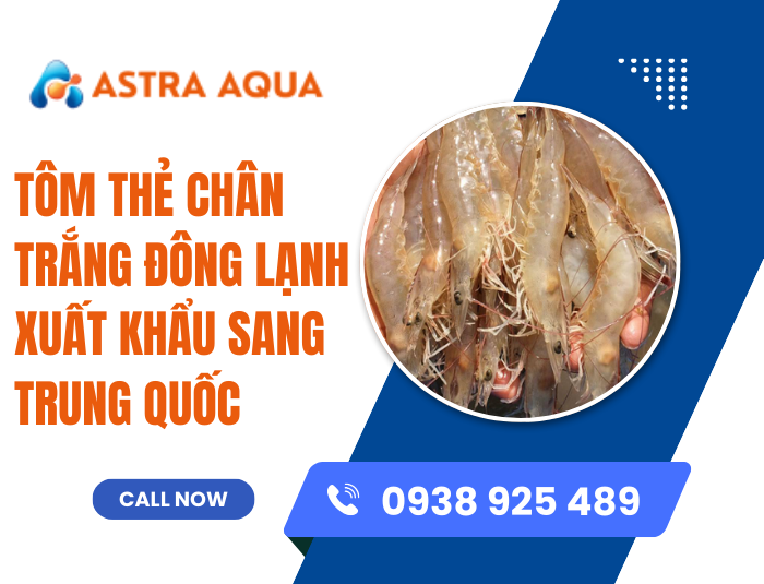 Tôm thẻ chân trắng đông lạnh xuất khẩu sang Trung Quốc