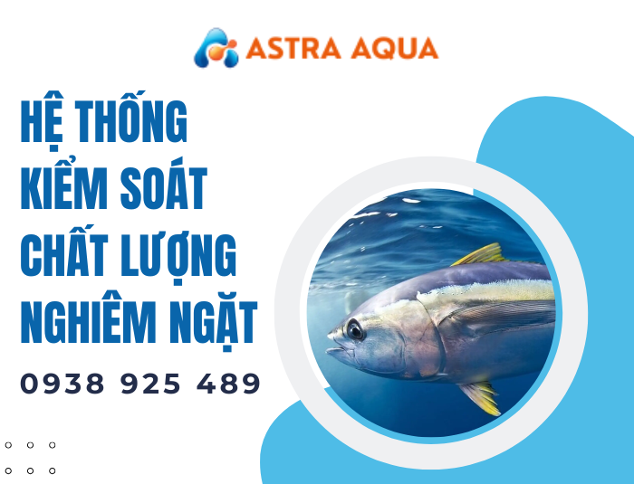 Cá ngừ đại dương xuất khẩu sang Hàn Quốc