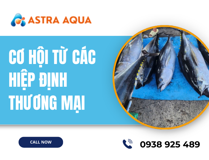 Cá ngừ đại dương xuất khẩu sang Hàn Quốc