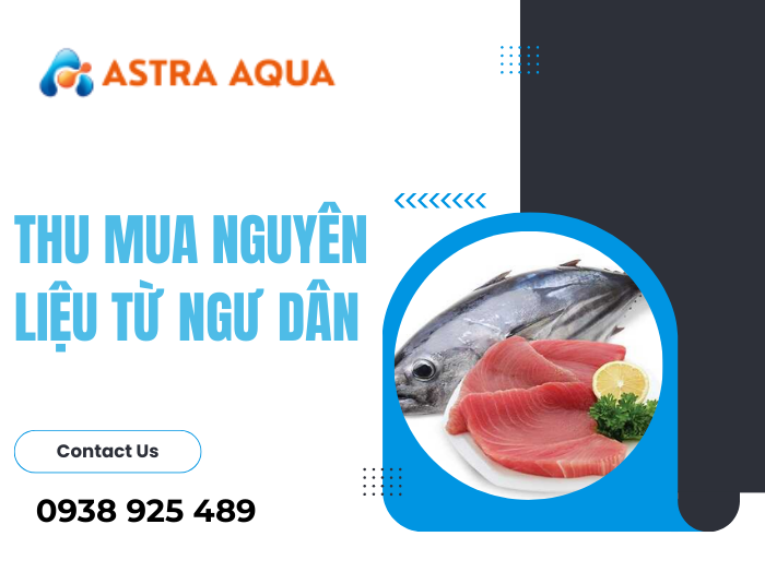 Cá ngừ đại dương xuất khẩu sang Hàn Quốc