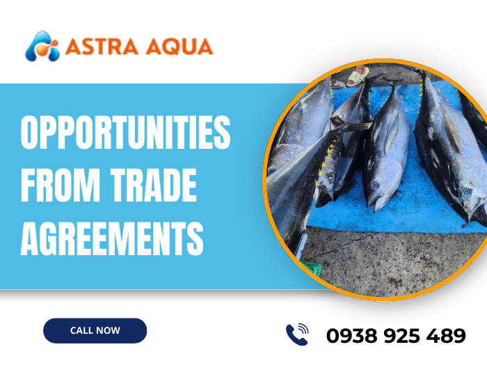 Tuna Export to South Korea