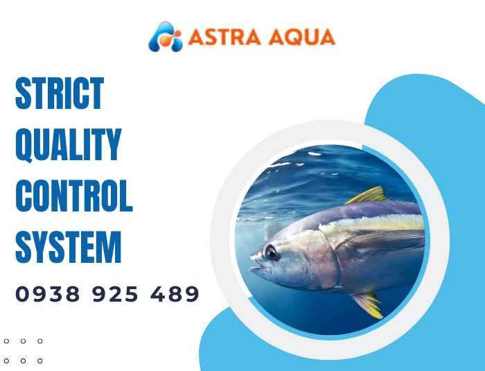 Tuna Export to South Korea