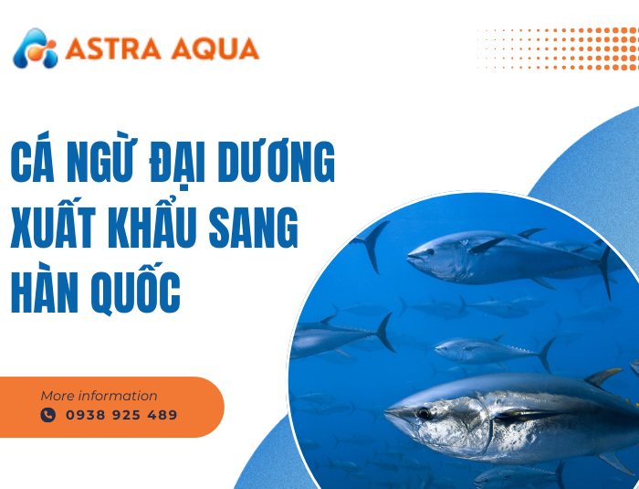 Cá ngừ đại dương xuất khẩu sang Hàn Quốc