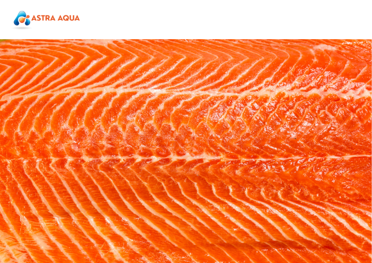 Vì Sao ASTRA AQUA Là Thương Hiệu Tiên Phong Trong Ngành Hải Sản? tại Astra Aqua