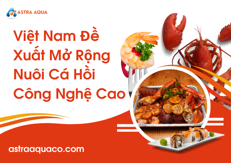 Việt Nam Đề Xuất Mở Rộng Nuôi Cá Hồi Công Nghệ Cao