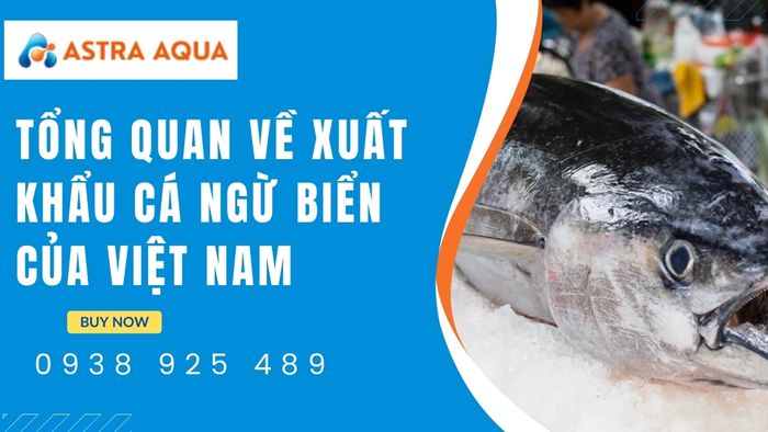 Tổng quan về ngành xuất khẩu cá ngừ biển cùng Astra Aqua