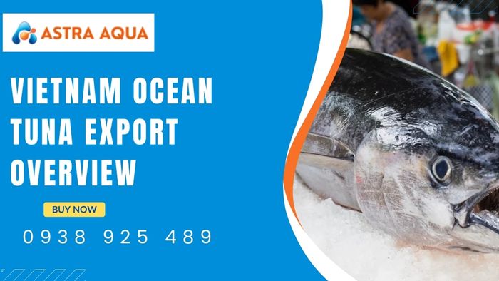 Overview of the ocean tuna export industry with Astra Aqua