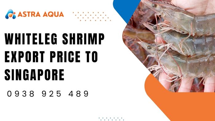 Whiteleg Shrimp Export Price to Singapore from Astra Aqua