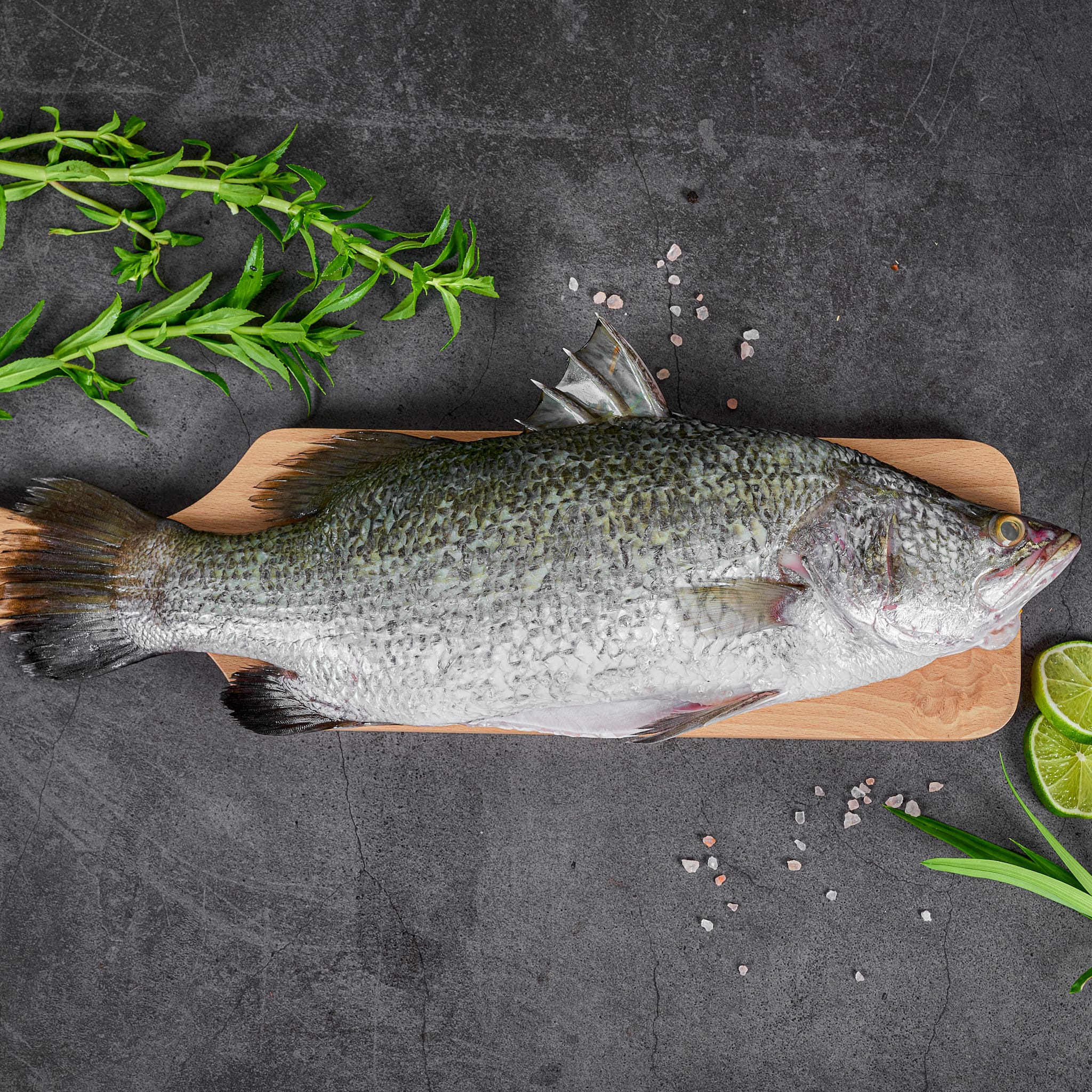 Xuất khẩu cá chẽm đông lạnh sang Trung Quốc