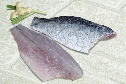 Xuất khẩu cá chẽm sang Hàn Quốc