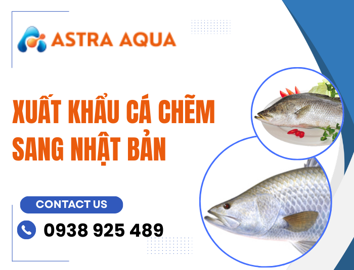 Xuất khẩu cá chẽm sang Nhật Bản