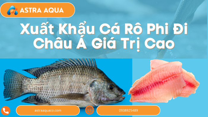 Xuất Khẩu Cá Rô Phi Đi Châu Á Giá Trị Cao