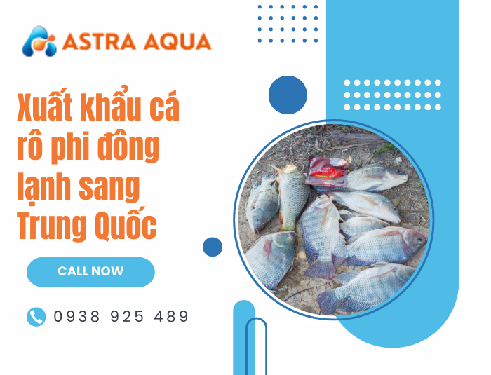 Xuất khẩu cá rô phi đông lạnh sang Trung Quốc