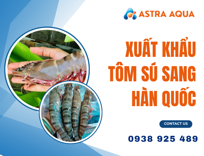 Xuất Khẩu Tôm Sú Sang Hàn Quốc