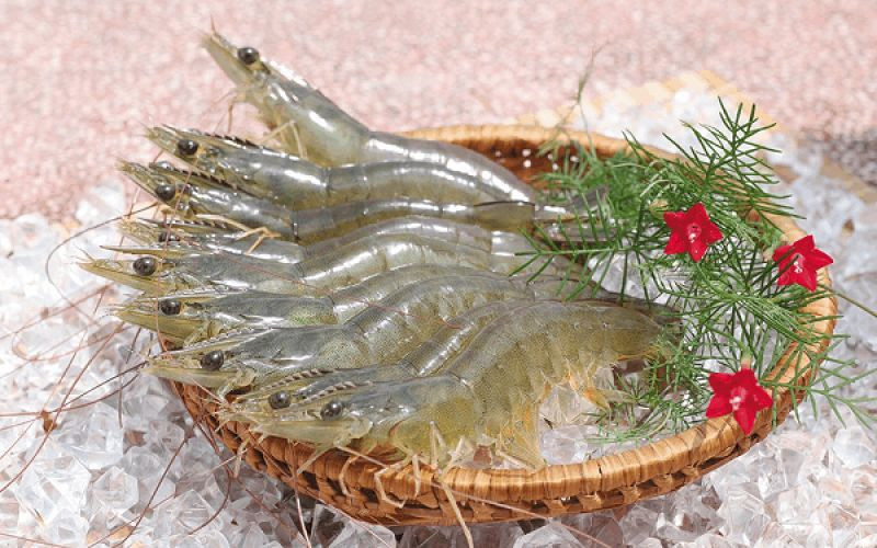 Xuất khẩu tôm thẻ chân trắng sang Hàn Quốc