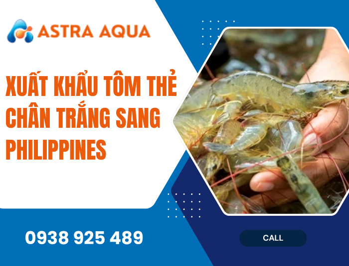 Xuất khẩu tôm thẻ chân trắng sang Philippines
